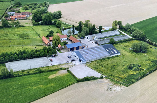 Pension pour chevaux près de Steenvoorde et Hazebrouck